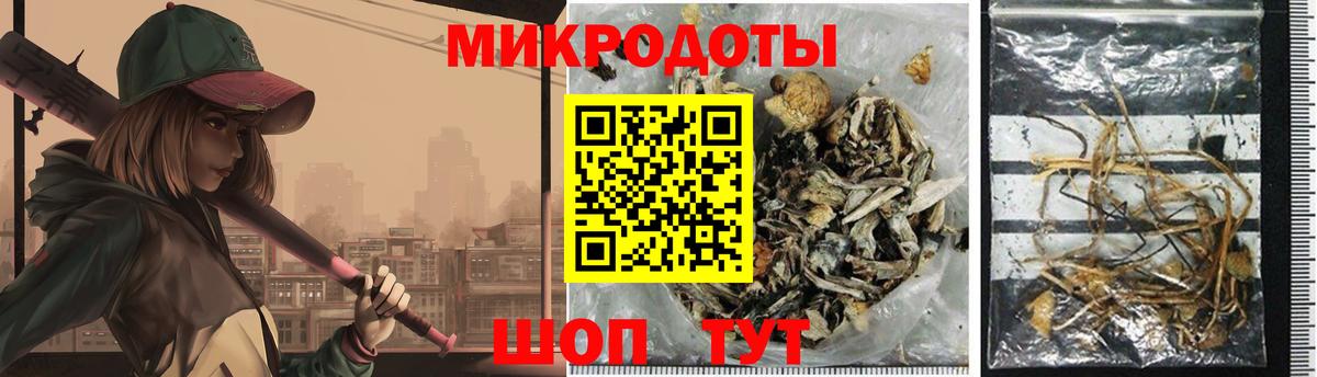 Калининград  Псилоцибиновые грибы мицелий  Вход с VPN 